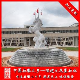 石雕馬圖片 馬的石雕雕刻廠(chǎng)家 加工校園石雕馬